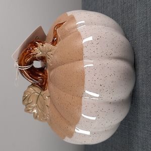 Ceramic Pumpkin Figure Tabletop Decor Fall Harvest Half Glazed White Natural